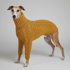 Pull pour lévrier col roulé couleur moutarde en maille épaisse pour chien Oscar et Plume