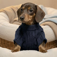 Charger l'image dans la visionneuse de la galerie, Petit chien adorable en pull pour petit chien bleu marine avec col roulé confortable

