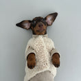 Cargar la imagen en la vista de la galería, Pull pour teckel en laine beige doux avec des boutons, parfait pour garder votre chien au chaud
