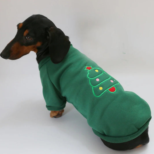 Pull pour teckel vert avec motif sapin de Noël coloré porté par un chien teckel