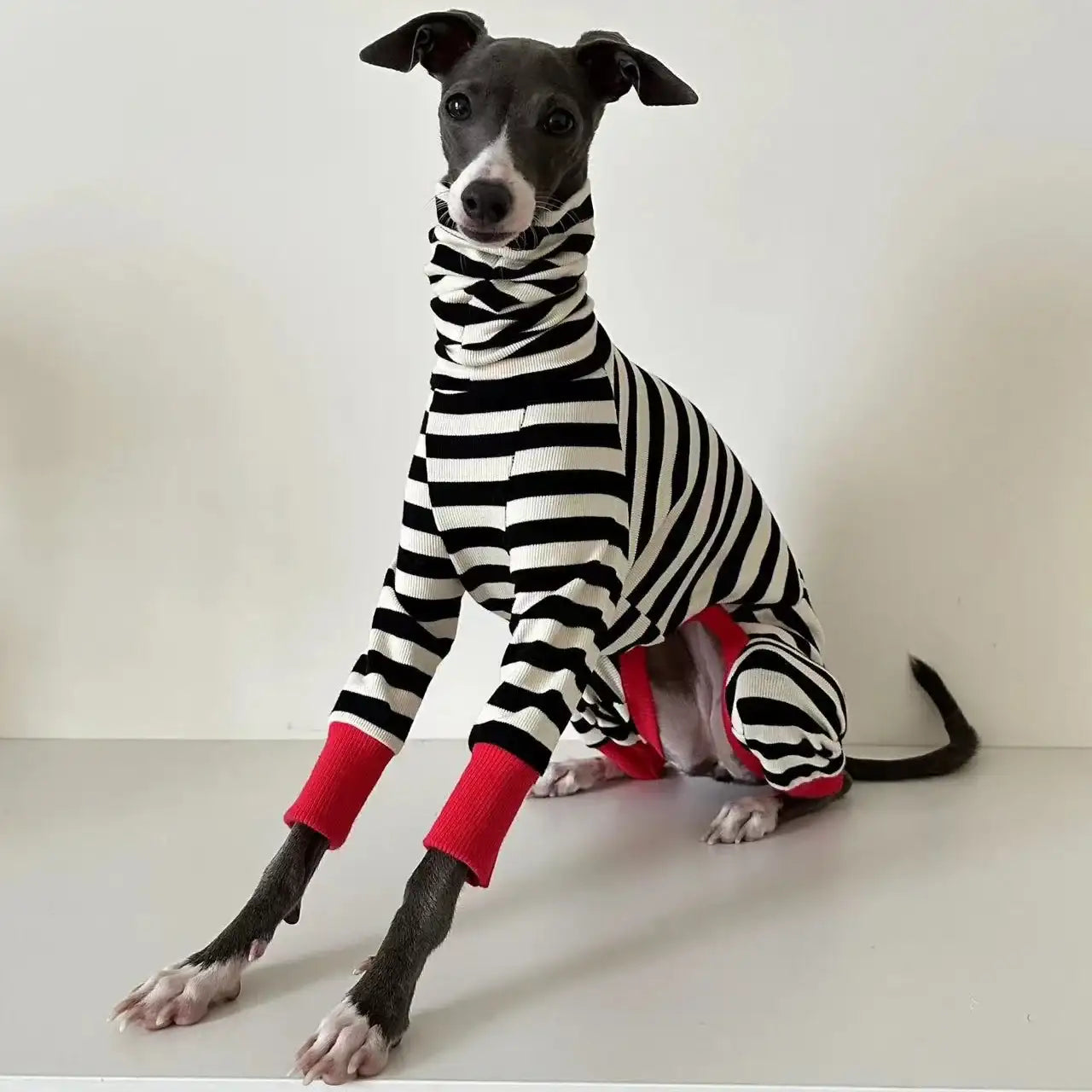 Chien portant un pull rayé pour chien noir et blanc avec manches rouges signée Oscar et Plume