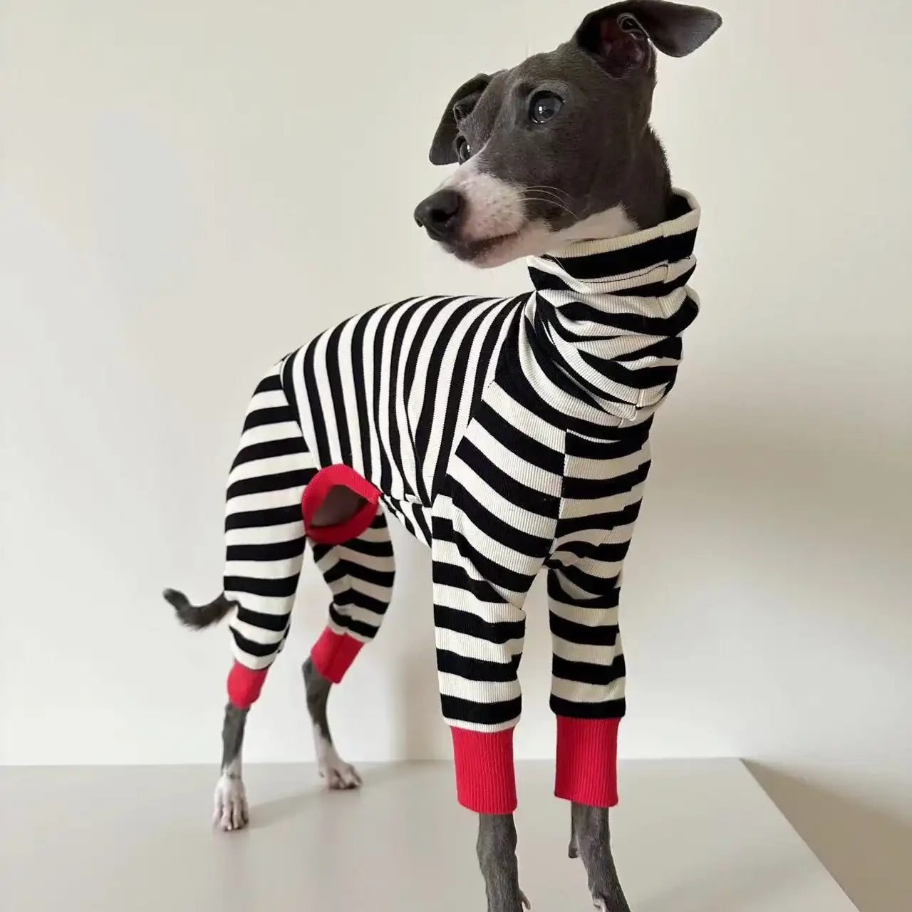 Chien portant un pull rayé pour chien noir et blanc avec poignets rouges de la marque Oscar et Plume