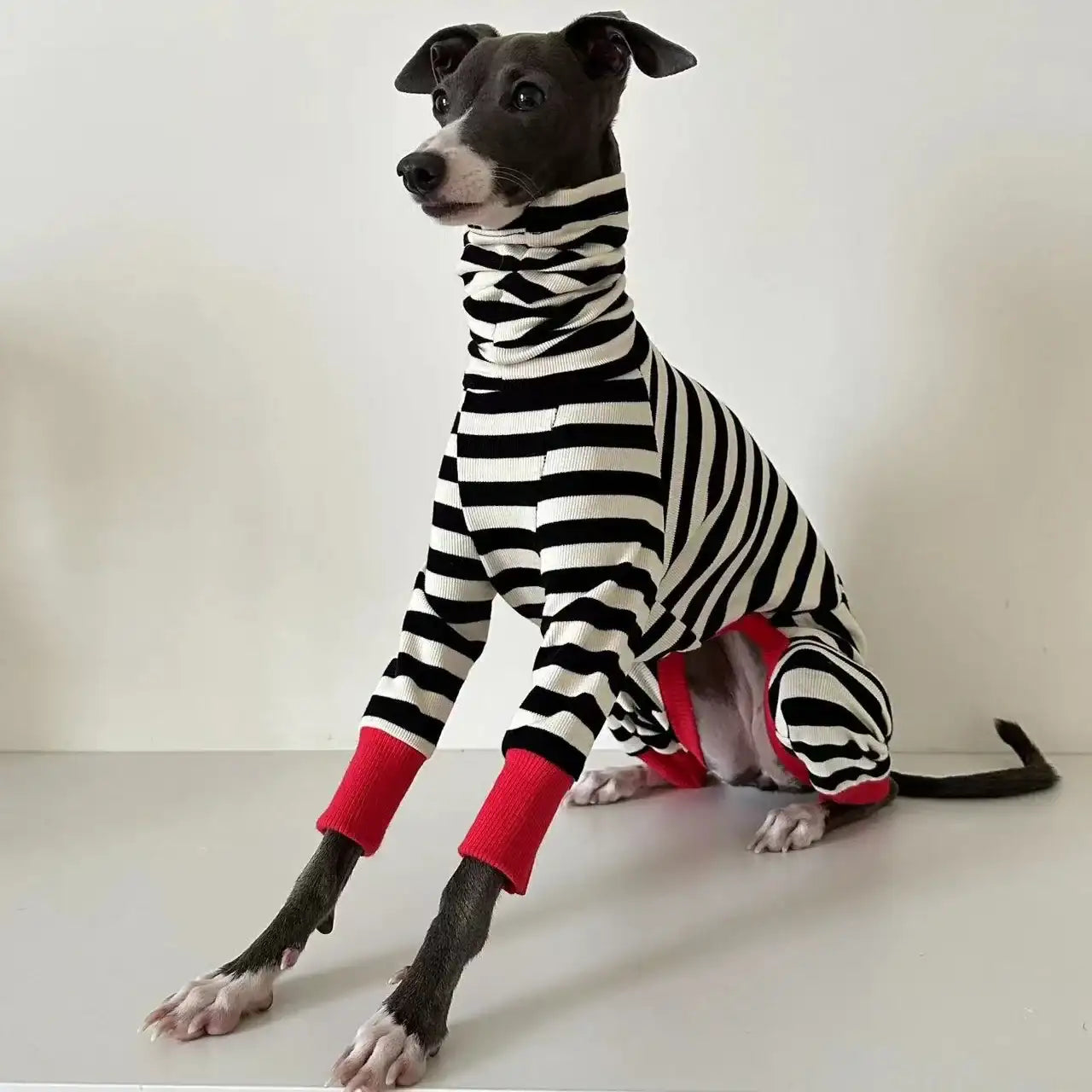 Chien portant un pull rayé pour chien noir et blanc avec des poignets rouges signé Oscar et Plume