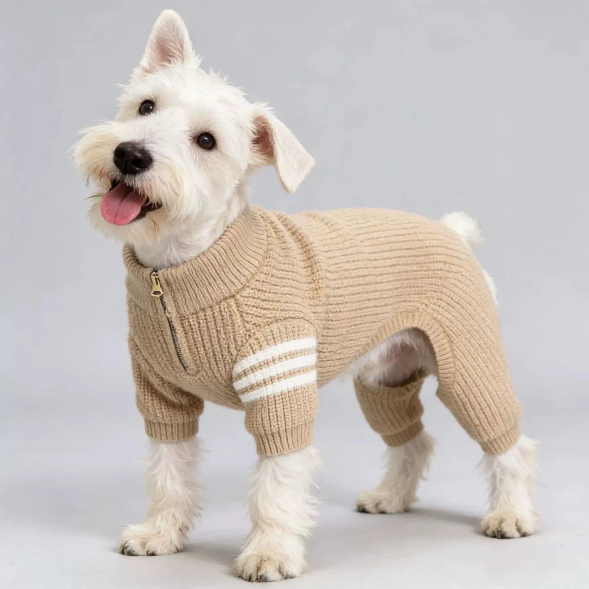 Pull tricoté pour chien beige avec col et rayures blanches pour un look tendance