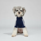 Pull tricoté pour chien de couleur marine avec des rayures blanches sur les manches