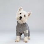 Pull tricoté pour chien en gris avec fermeture éclair et rayures blanches pour animaux élégants