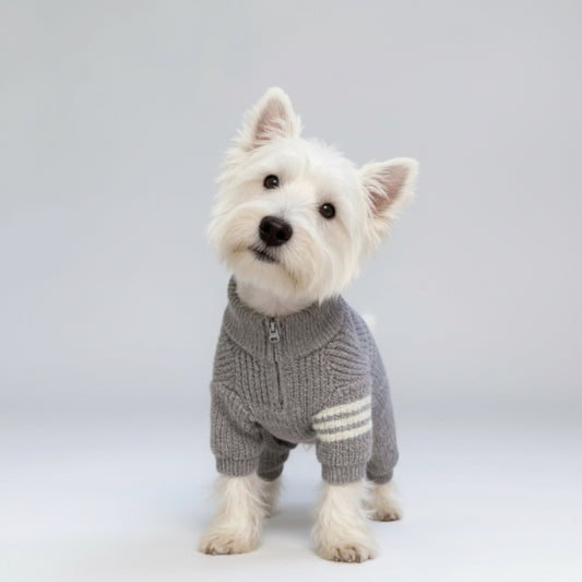 Pull tricoté pour chien en gris avec fermeture éclair et rayures blanches pour animaux élégants
