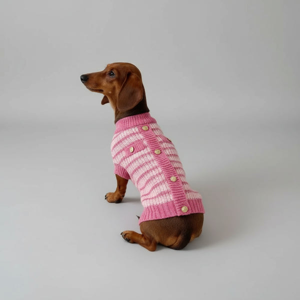 Pull tricoté pour chien à rayures roses avec boutons, parfait pour garder votre chien au chaud.