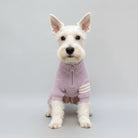 Pull tricoté pour chien en violet avec fermeture éclair et rayures blanches pour l'hiver