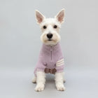Pull tricoté pour chien en violet avec fermeture éclair et rayures blanches pour l'hiver