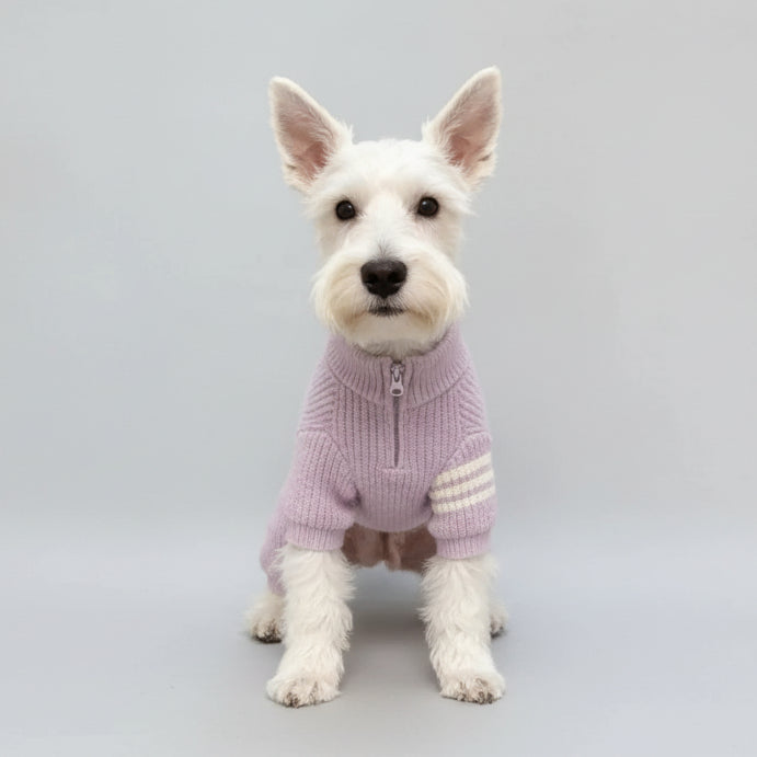 Pull tricoté pour chien en violet avec fermeture éclair et rayures blanches pour l'hiver