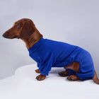 Pyjama polaire pour teckel en bleu, doux et confortable pour garder votre chien au chaud
