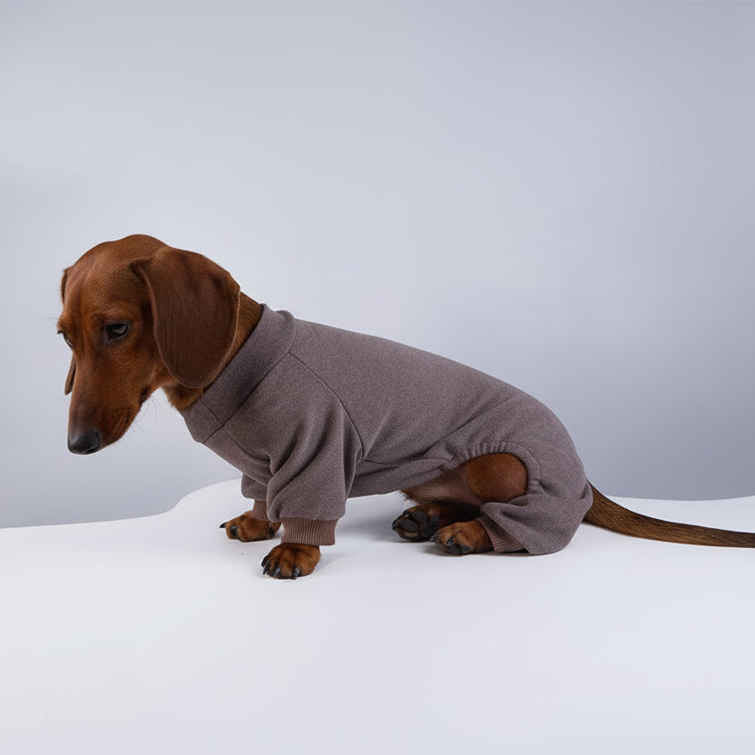 Pyjama polaire pour teckel en gris, confortable et chaud pour les journées fraîches