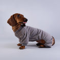 Charger l'image dans la visionneuse de la galerie, Pyjama polaire pour teckel en gris confortable et doux pour garder votre chien au chaud

