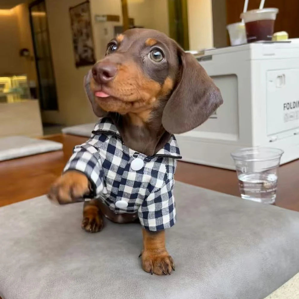 Pyjama pour chien teckel en vichy noir et blanc avec col, parfait pour les moments cocooning