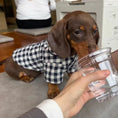 Carica l'immagine nel visualizzatore della galleria, Chien teckel portant un pyjama pour chien teckel à carreaux, asis près d'un verre
