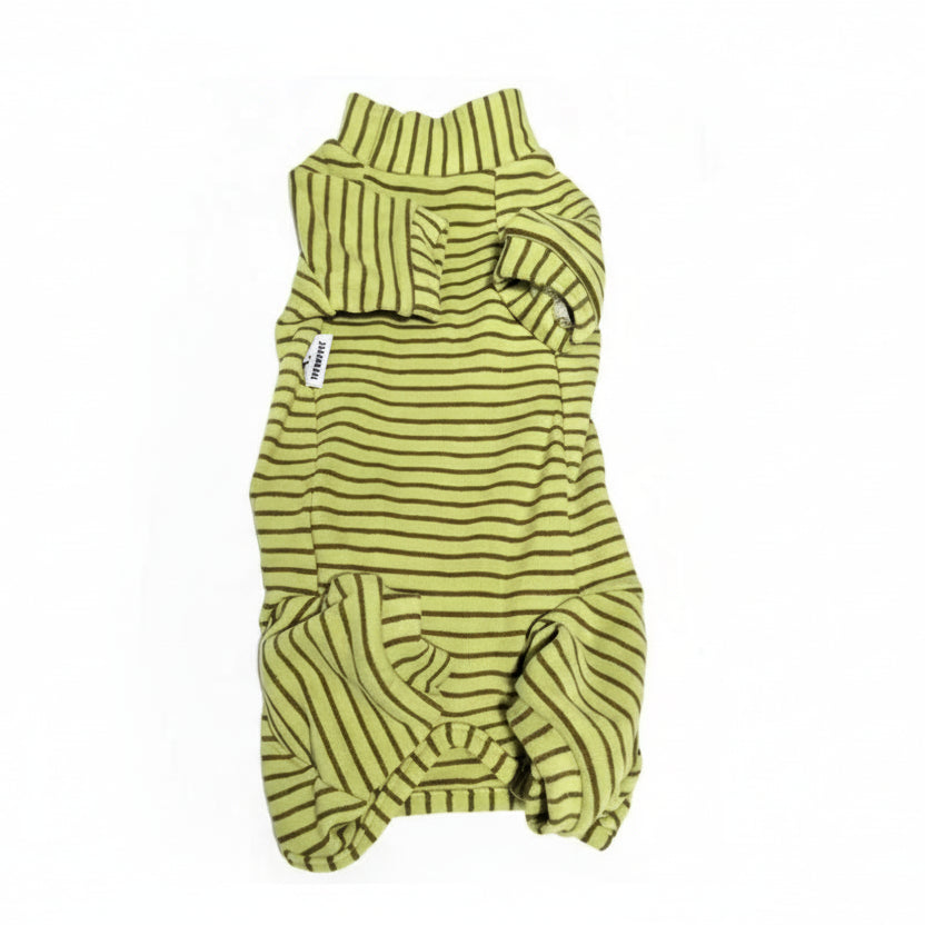 Pyjama pour teckel confortable à rayures vertes et jaunes, doux et idéal pour le confort de votre chien