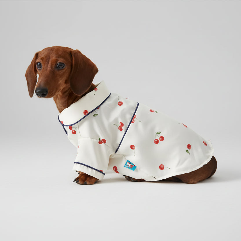 Pyjama pour teckel avec motifs de cerises sur fond blanc, idéal pour le confort de votre chien