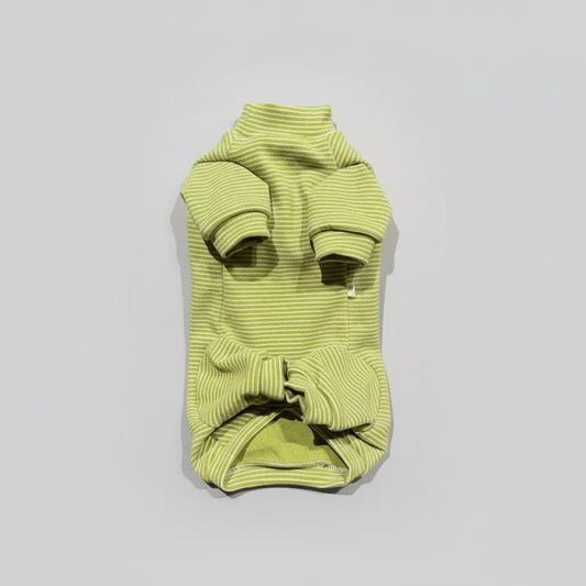 Pyjama pour teckel vert rayé avec manches longues et nœud décoratif