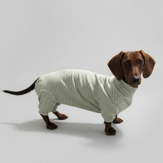 Pyjama pour teckel rayé de couleur verte, confortable et élégant pour chiens