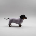Carica l'immagine nel visualizzatore della galleria, Pyjama pour teckel rayé à manches longues pour garder votre chien au chaud
