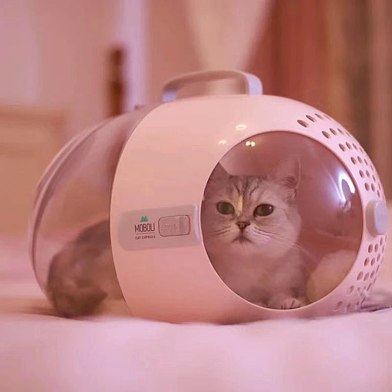 Sac capsule transparente et ventillée pour voyage chat Oscar et Plume