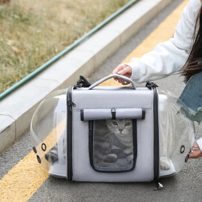 sac de transport pour chat transparent en forme de bulle Oscar et Plume avec fenêtre en mesh poignée et chat visible