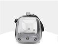 Load image into Gallery viewer, Oscar et Plume sac de transport pour chat transparent style sac à dos bulle avec aérations et poignée
