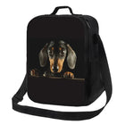 Sac isotherme design chien noir avec illustration réaliste de chien de race teckel par Oscar et Plume
