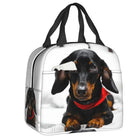 Sac isotherme teckel avec un design amusant de chien, idéal pour les sorties en plein air