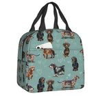 Sac isotherme teckel avec motif de chiens teckels sur fond vert pour un style unique et pratique