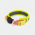 Collier AirTag pour chien jaune et rose avec boucle réglable et support pour localisateur