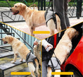 Load image into Gallery viewer, Support lombaires réglable pour Grand Chien Oscar et Plume S
