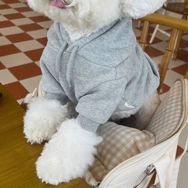 Sweat à capuche pour chien Oscar et Plume Gris / XS