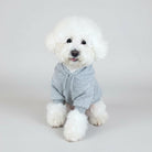 Chien blanc portant un sweat capuche pour chien gris assis dans un sac de transport à carreaux