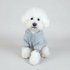 Chien blanc portant un sweat capuche pour chien gris assis dans un sac de transport à carreaux