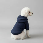 Chien blanc porté par une personne, vêtu d'un sweat capuche pour chien bleu marine confortable