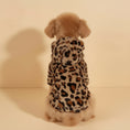 Cargar la imagen en la vista de la galería, Chien portant un sweat capuche pour chien à motif léopard en tissu pelucheux doux
