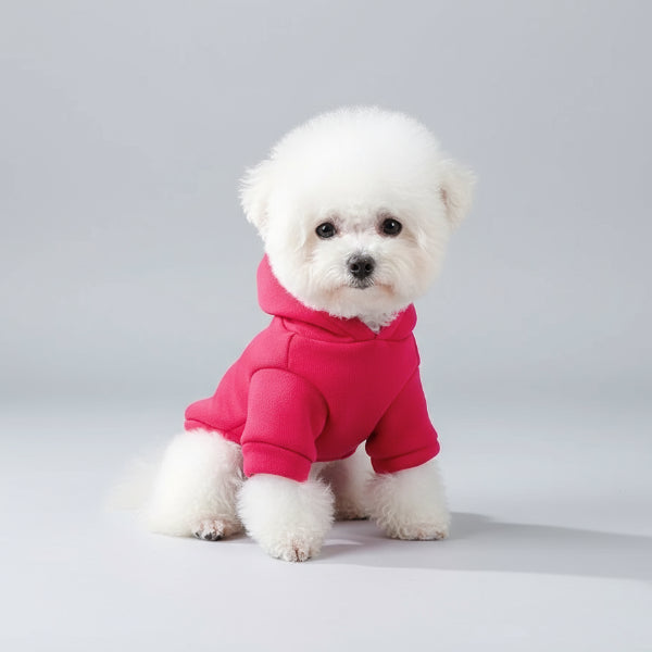 Chien mignon portant un sweat capuche pour chien en rose, parfait pour les promenades et le confort
