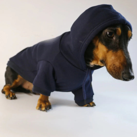 Chien teckel portant un sweat capuche pour teckel bleu marine confortable et chaud