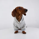 Teckel portant un sweat capuche pour teckel gris avec cordon de serrage et manches courtes