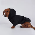 Carica l'immagine nel visualizzatore della galleria, Sweat capuche pour teckel noir, confortable et stylé pour les promenades hivernales
