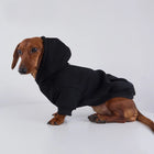 Sweat capuche pour teckel noir, confortable et stylé pour les promenades hivernales