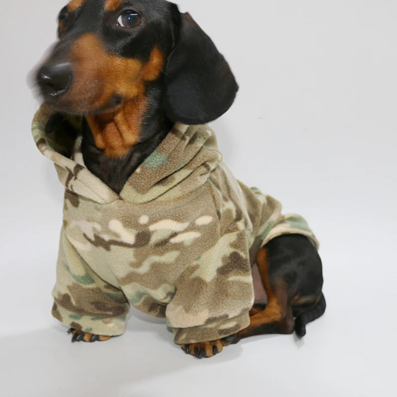 Oscar et Plume sweat capuche pour teckel camouflage en polaire beige et coupe confort pour petit teckel