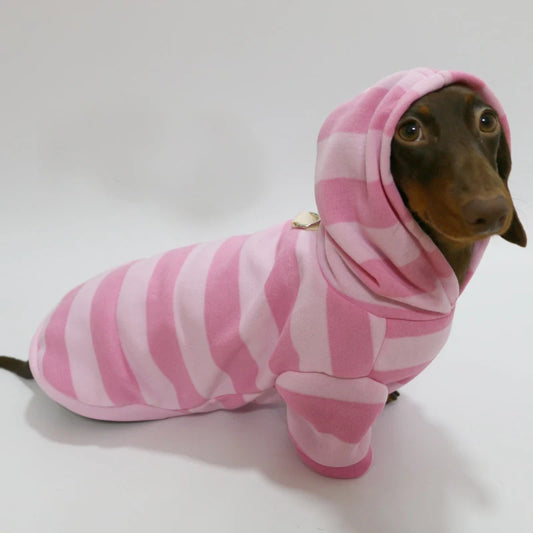 Chien teckel portant un sweat capuche pour teckel rose à rayures de la marque Oscar et Plume
