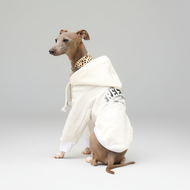 Sweat capuche pour whippet en blanc avec logo confortable pour animaux de compagnie tendance