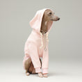 Carica l'immagine nel visualizzatore della galleria, Sweat capuche pour whippet en rose, parfait pour garder votre chien au chaud et à la mode
