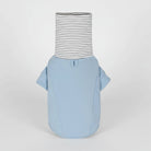 Sweat col haut pour teckel en bleu avec un col rayé et des manches courtes