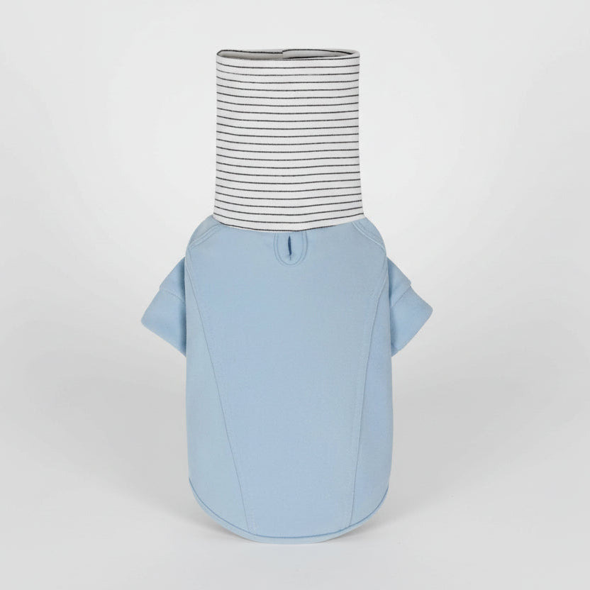 Sweat col haut pour teckel en bleu avec un col rayé et des manches courtes