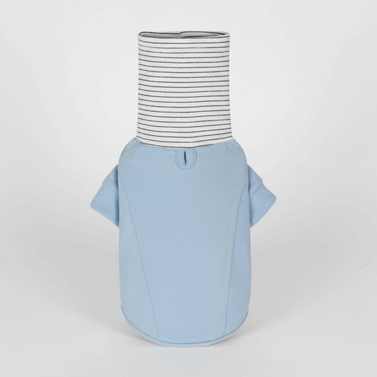 Sweat col haut pour teckel en bleu avec un col rayé et des manches courtes